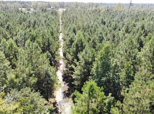 Old Buckhead Rd, Bamberg, SC 29003