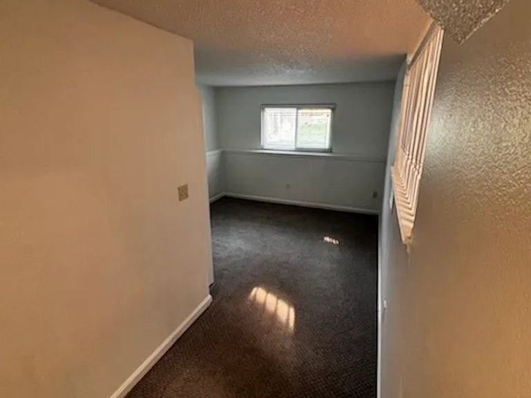 1184 Lily Ct — Photo 14