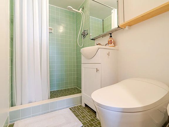 New bidet toilet and lovingly restored tile from 1955