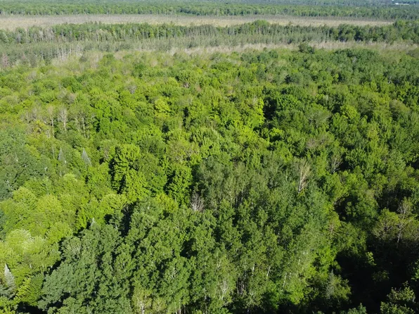 N7295 W Dover Rd, Phillips, WI 54555