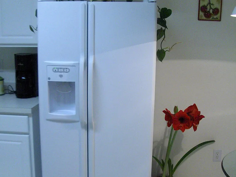 117 Avebury Ln — Photo 10