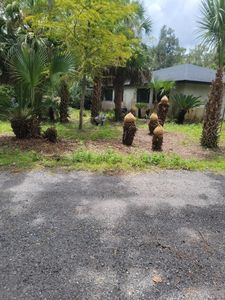 6715 High St W #19, Perry, FL, 32348