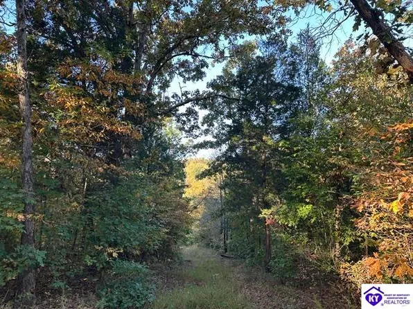 272 Valley Creek Rd, Battletown, KY 40104