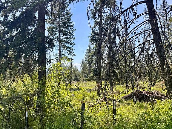 5th image of Harris Ridge Rd Parcel 4