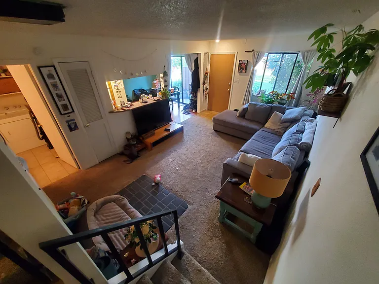 3325 Talisman Ct — Photo 12