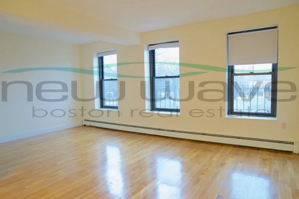 Photo 1 of 8 - 397 Massachusetts Ave #2 - Boston, MA Primary Photo - 397 Massachusetts Ave #2