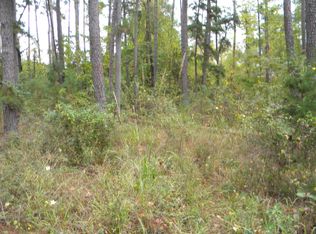 620 Oak Ridge Ln, Appling, GA 30802