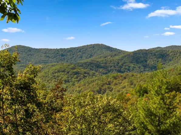 Martin Xing, Cherry Log, GA 30522