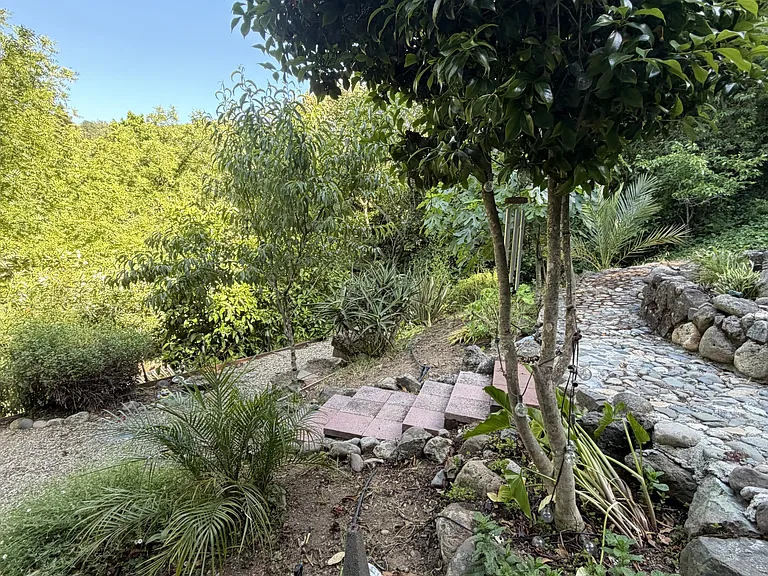 2693 S Fitch Mountain Rd — Photo 11