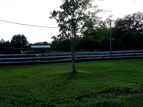 3rd image of 7055 County Road 171