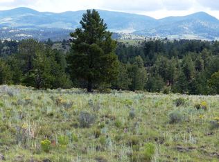 2499 Sangre Dr, Westcliffe, CO 81252