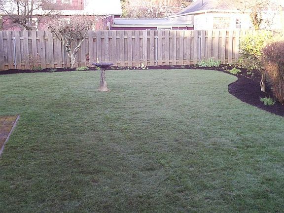 BACK YARD