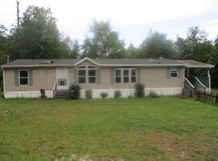 93 Horsetail Ave, Middleburg, FL 32068