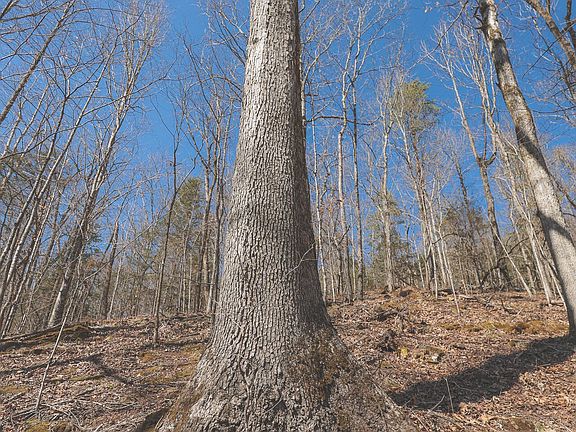 2nd image of 0 Fisher Hollow Rd