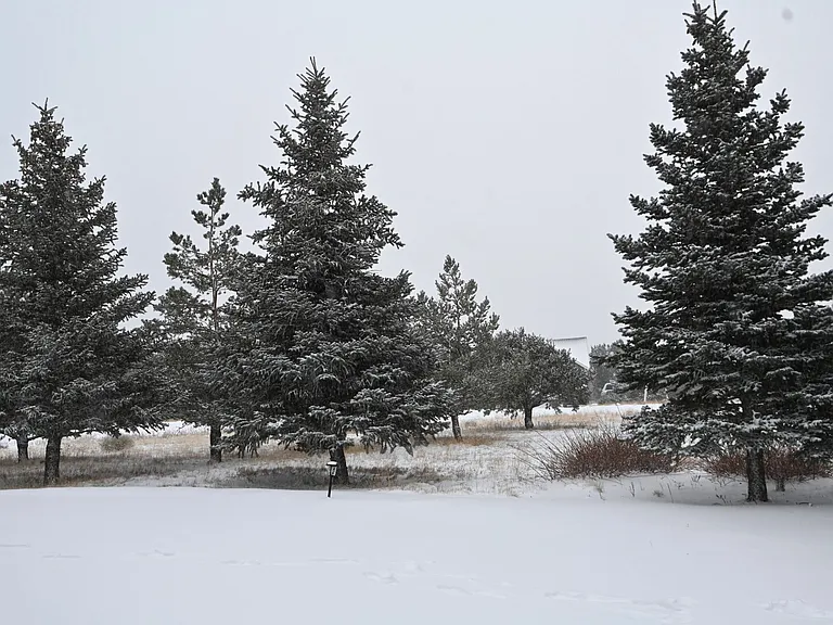 Arroyo Trl — Photo 34