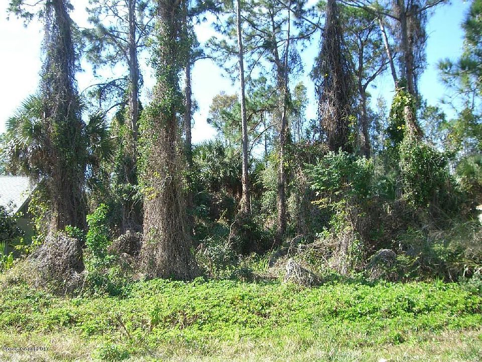1st image of 338 Woods Lake Dr