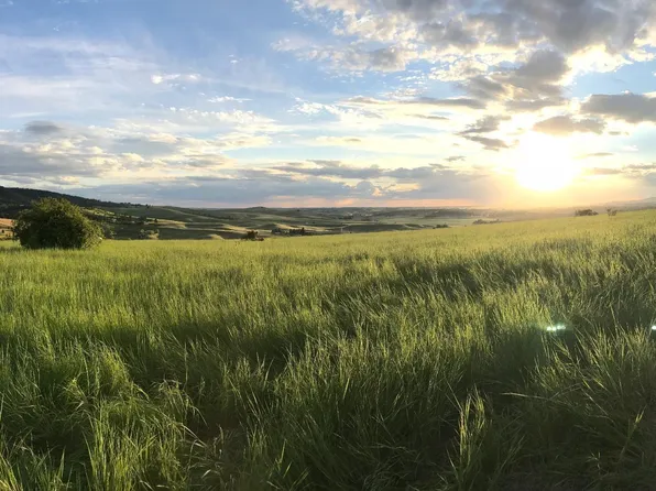 Tbd Lenville Rd, Moscow, ID 83843