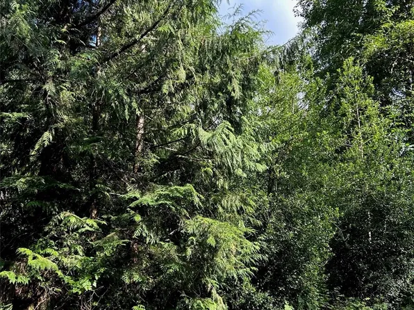 18002 Shuksan Rim Dr., Glacier, WA 98244