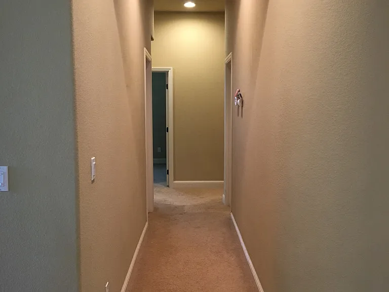 833 Hildebrand Cir — Photo 14