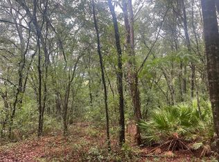 Delaware Avenue Lot #45, Interlachen, FL 32148