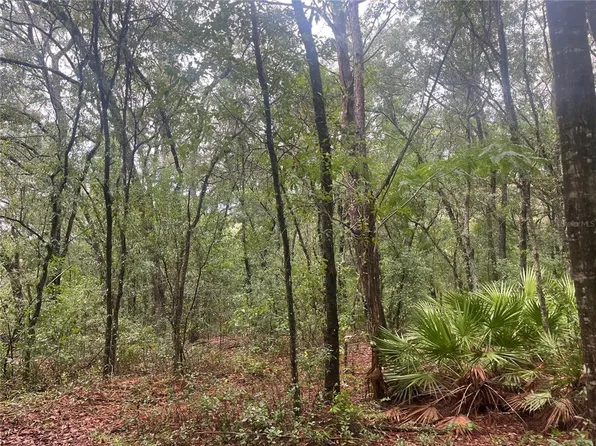 Delaware Avenue Lot #45, Interlachen, FL 32148