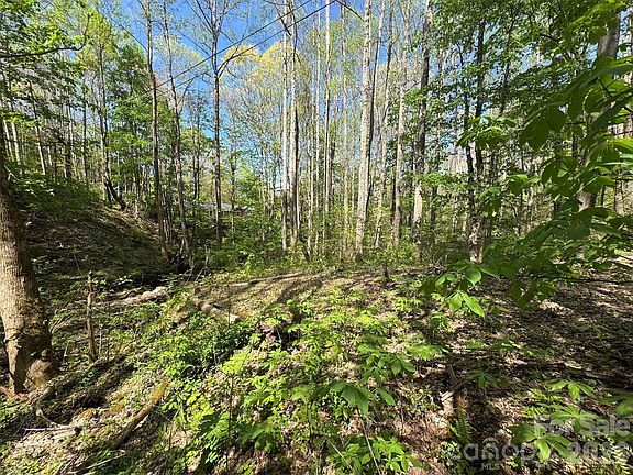 5th image of NULLB Browning Branch Rd