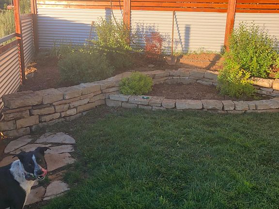 Back yard.