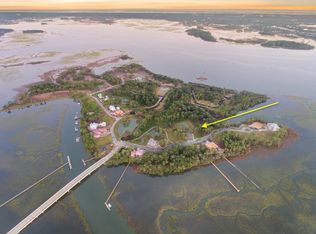 207 Fell Pt, Daniel Island, SC 29492