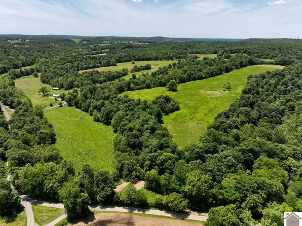 0 Cotton Patch Rd, Marion, KY 42064