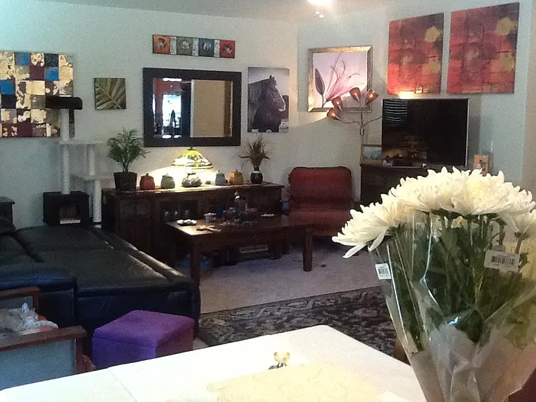 1654 Cactus Loop — Photo 8