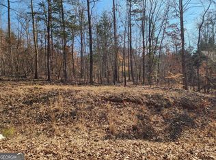 216 Lakeview Trl, Martin, GA 30557