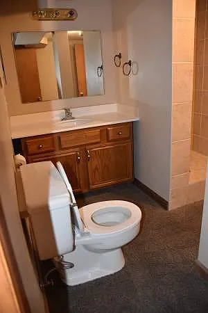 Basement Bathroom