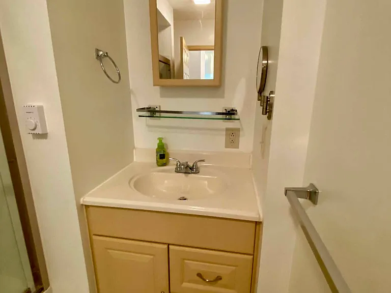 215 Green St #217 — Photo 26