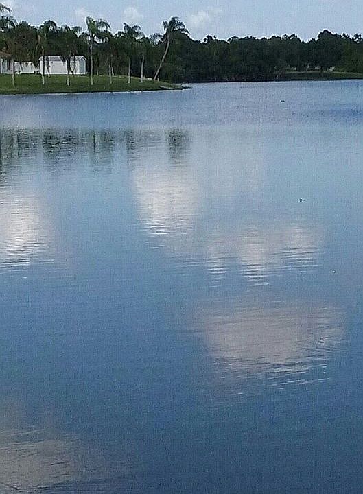 2nd image of 286 Strasburg Dr