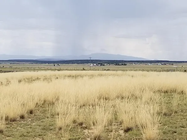 196 McNabb Rd, Moriarty, NM 87035