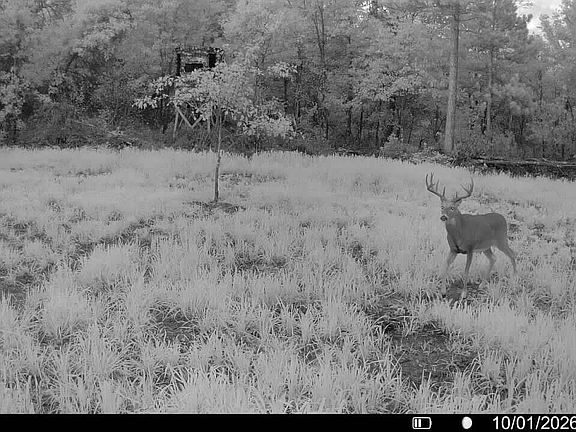 5th image of 943 13th Ave