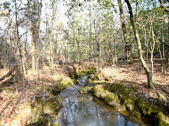 2nd image of TRACT 1 Polk Rd #95