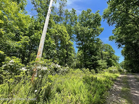 2nd image of Aspen Ct #808