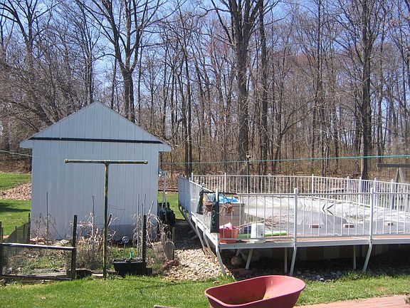 BackYard View of woods