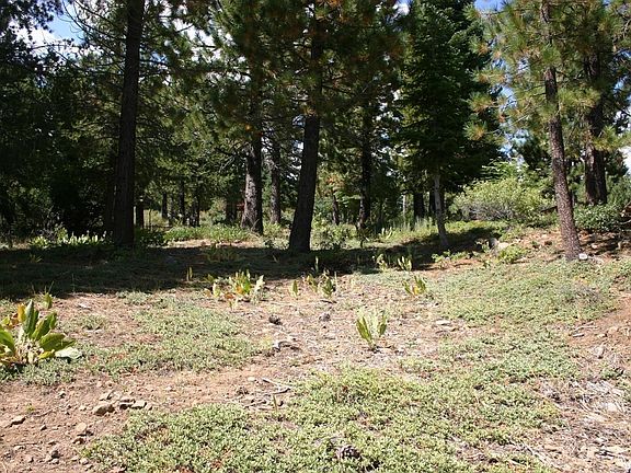5th image of 16665 Skislope Way