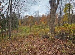 136 Dubois Ln Lot 67, Oxford, NY 13830
