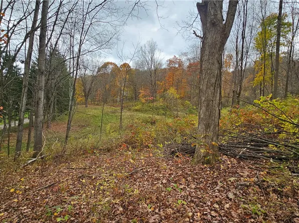 136 Dubois Ln Lot 67, Oxford, NY 13830