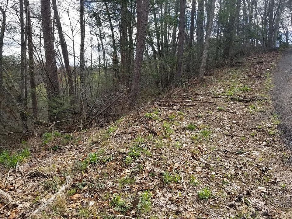 2nd image of 340 Pioneer Trl