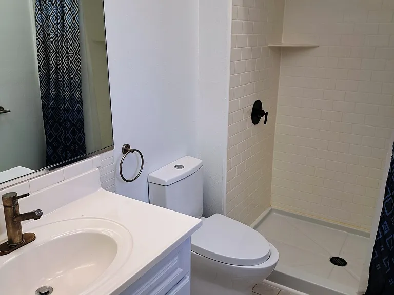 MASTER BATH WITH SHOWER