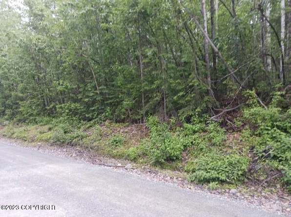48549 S Bendapole Rd, Talkeetna, AK 99676