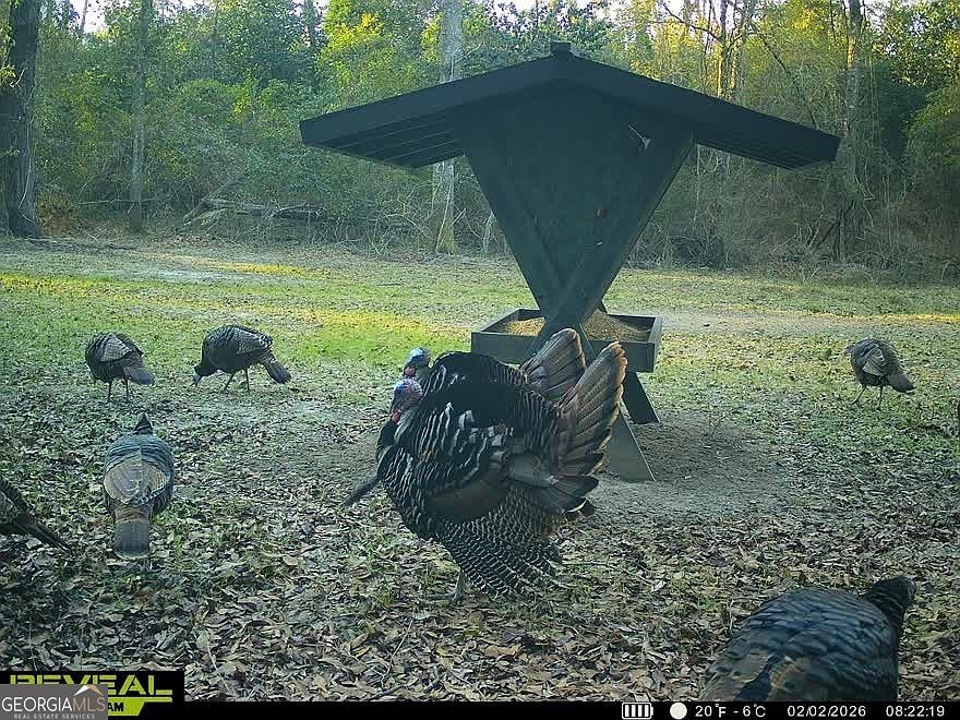 1st image of 0 Charles St