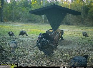 0 Charles St, Vienna, GA 31092