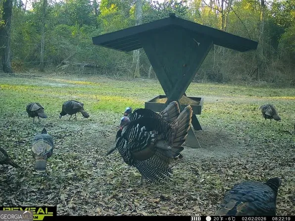 0 Charles St, Vienna, GA 31092