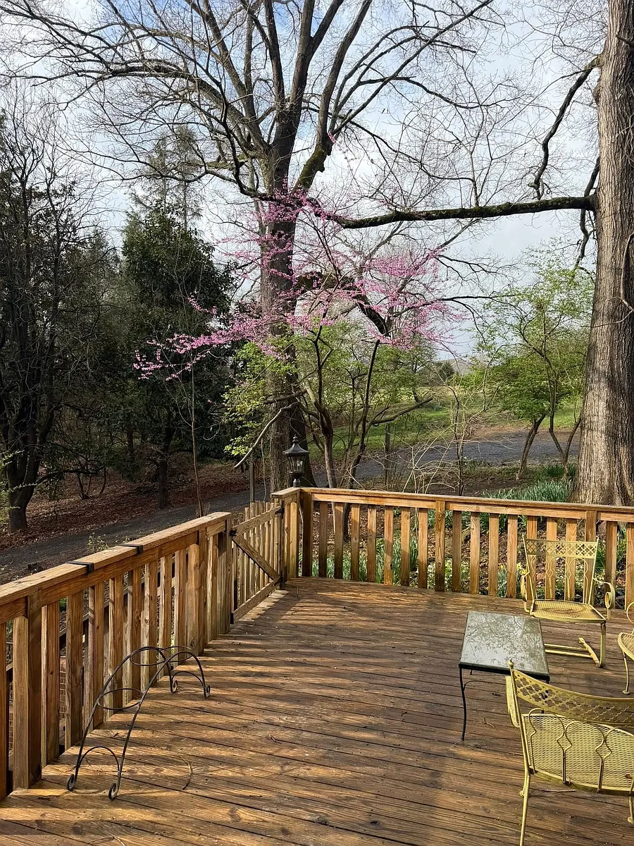 Deck - 1565 S Peace Haven Rd