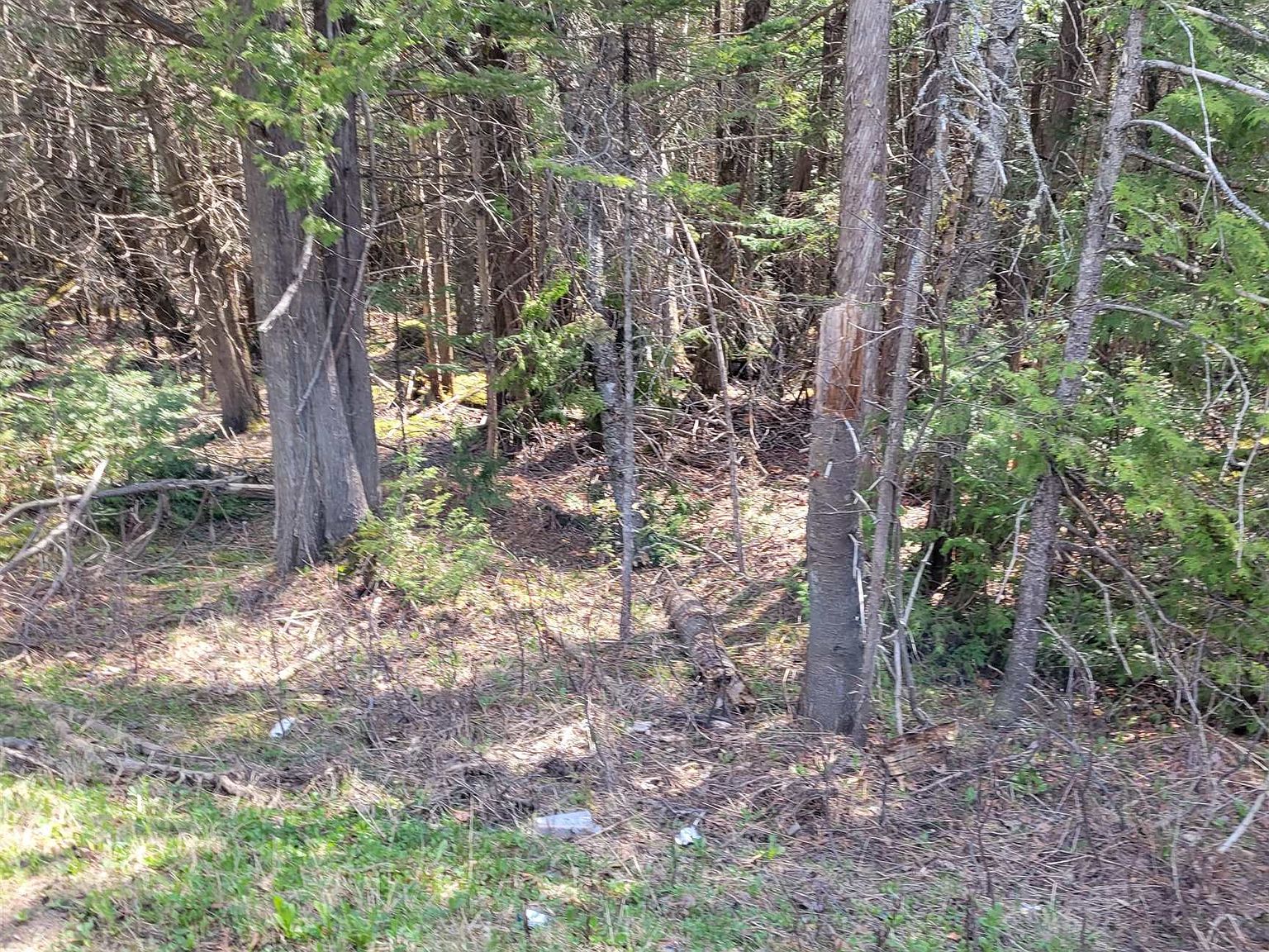 Newark Street, West Burke, VT 05871 MLS 4952059 Zillow